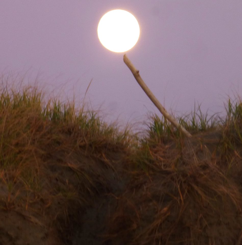 Patti Hall - the moon on a stick