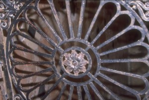 a flower sealed in a grate