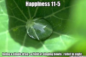 Happiness11-5