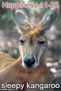 sleepy kangaroo meme