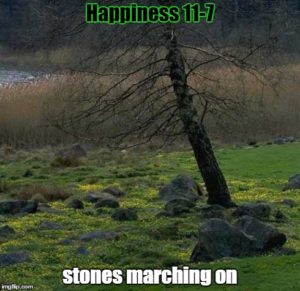 stones marching on - meme