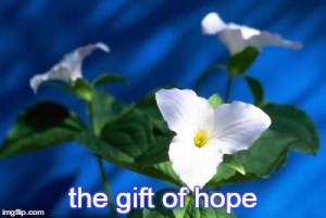 12-19-21 the gift of hope