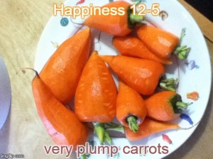12-5-14 very plump carrots