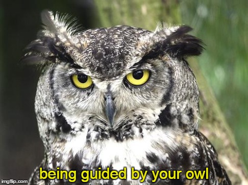 1-18 being guided by your owl