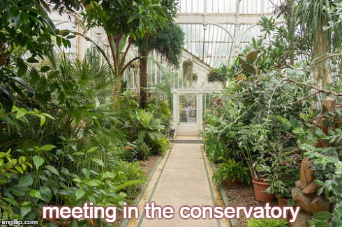 1-29 meeting in the conservatory
