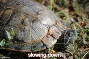 slowing down