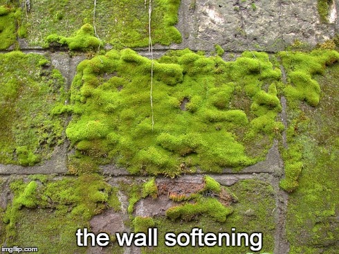2-10 the wall softening