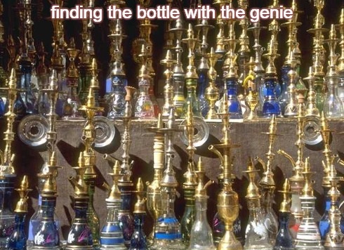 2-28 finding the bottle with the genie