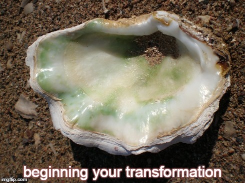 2-9 beginning your transformation