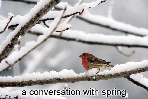 a conversation with spring meme