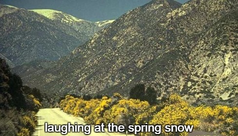 3-30 laughing at the spring snow