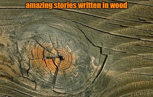 3-5 amazing stories written in wood