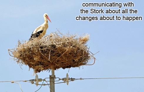 4-14 communicating with the stork about all the changes about to happen