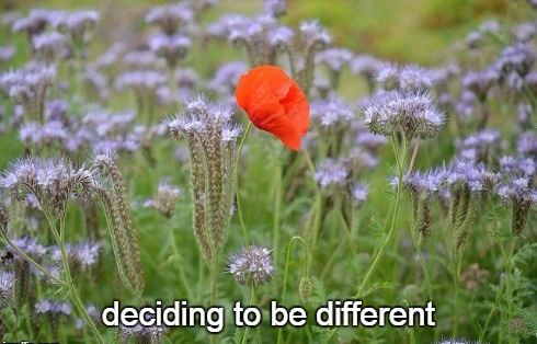 4-20 deciding to be different