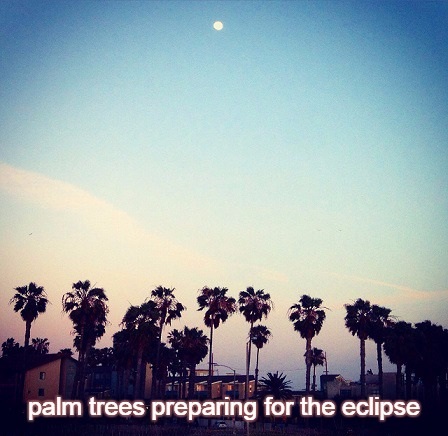4-3 palm trees preparing for the eclipse by  SS