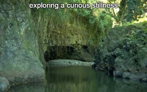 6-24 exploring a curious stillness