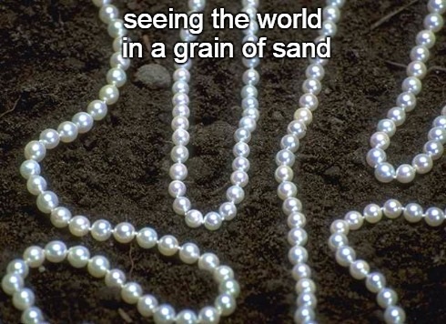 6-5 seeing the world in a grain of sand