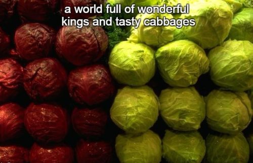 7-10 a world full of wonderful kings and tasty cabbages