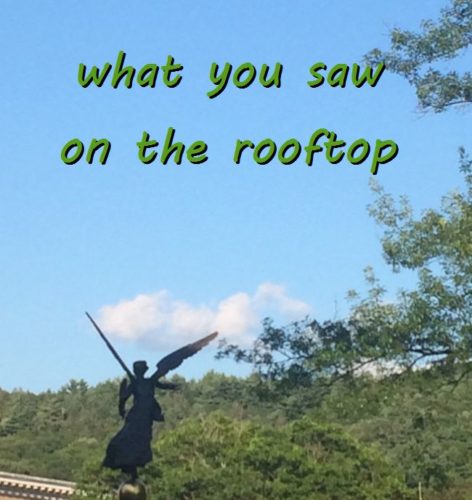 7-26 what you saw on the rooftop