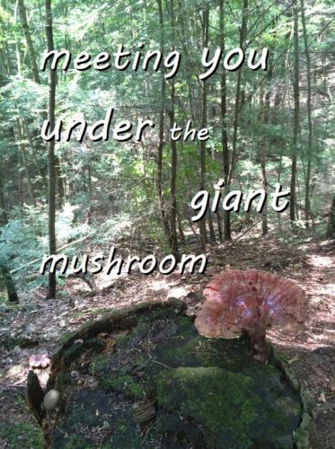 8-18 meeting you unde the giant mushroom