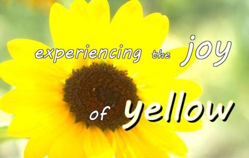 9-20 experiencing the joy of yellow
