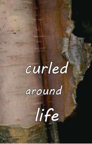 9-23 curled around life
