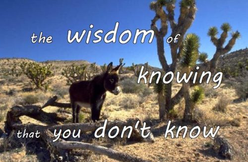 9-6 the wisdom of knowing that you don't know