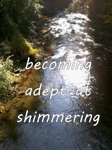 10-23 becoming adept at shimmering