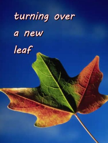 10-7 turning over a new leaf
