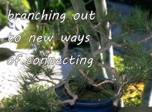 11-12 branching out into new ways of connecting