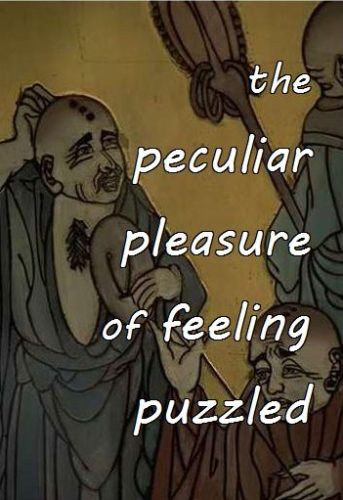 2-1 the peculiar pleasure of feeling puzzled