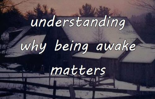understanding why being awake matters
