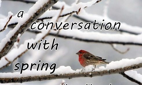 a conversation with spring