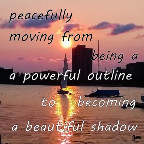 peacefully moving from being a powerful outline to becoming a beautiful shadow - photo by Andreas Brown