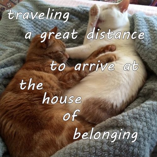 traveling a great distance to arrive at the house of belonging