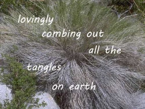 lovingly combing out all the tangles on earth