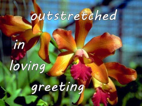 outstretched in loving greeting