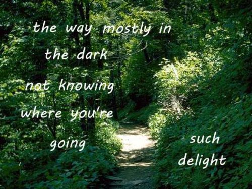 the way mostly in the dark not knowing where you’re going - such delight