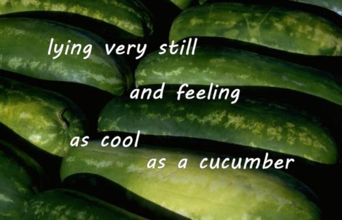 lying very still and feeling as cool as a cucumber