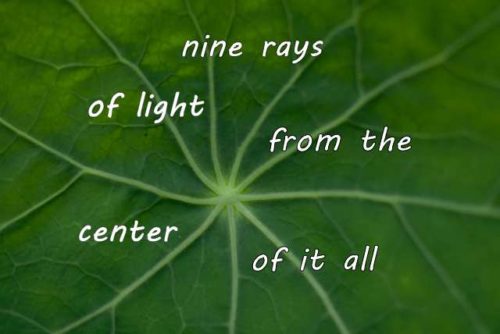nine rays of ight