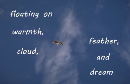 floating on warmth, cloud, feather, and dream