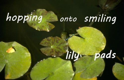 hopping onto smiling lily pads