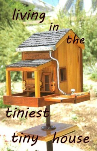 living in the tiniest tiny house