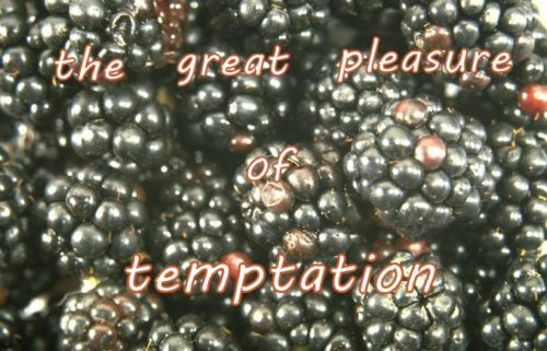 the great pleasure of temptation
