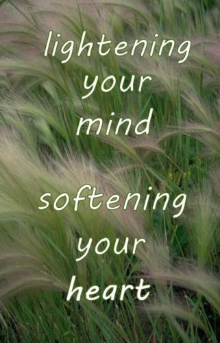 lightening your mind; softening your heart