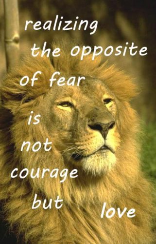 realizing-the-opposite-of-fear-is-not-courage-but-love