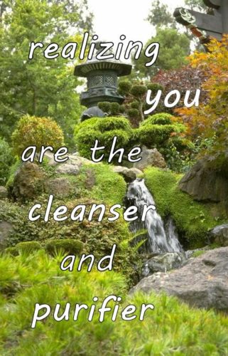 realizing-your-are-the-cleanser-and-purifier