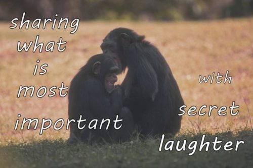 sharing what is most important with secret laughter