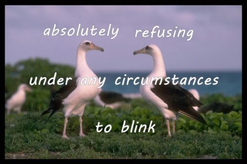absolutely-refusing-under-any-circumstances-to-blink