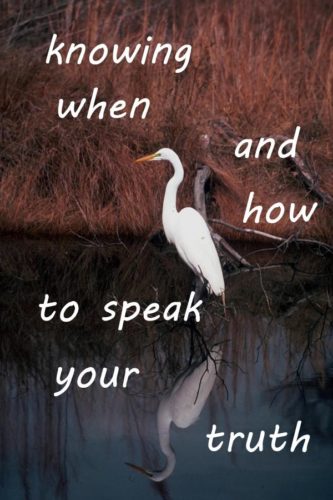 knowing-when-and-how-to-speak-your-truth